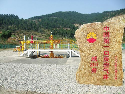 參與完成中國第一口頁(yè)巖氣井的試用開(kāi)發(fā)